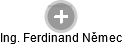 Ferdinand Němec - Vizualizace  propojení osoby a firem v obchodním rejstříku