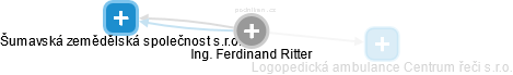 Ferdinand Ritter - Vizualizace  propojení osoby a firem v obchodním rejstříku