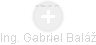 Gabriel Baláž - Vizualizace  propojení osoby a firem v obchodním rejstříku