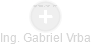 Gabriel Vrba - Vizualizace  propojení osoby a firem v obchodním rejstříku