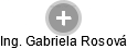  Gabriela R. - Vizualizace  propojení osoby a firem v obchodním rejstříku