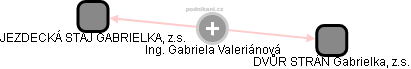 Gabriela V. - Vizualizace  propojení osoby a firem v obchodním rejstříku