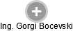 Gorgi Bocevski - Vizualizace  propojení osoby a firem v obchodním rejstříku