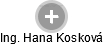  Hana K. - Vizualizace  propojení osoby a firem v obchodním rejstříku