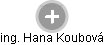 Hana Koubová - Vizualizace  propojení osoby a firem v obchodním rejstříku