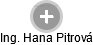  Hana P. - Vizualizace  propojení osoby a firem v obchodním rejstříku