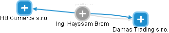  Hayssam B. - Vizualizace  propojení osoby a firem v obchodním rejstříku