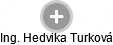 Hedvika Turková - Vizualizace  propojení osoby a firem v obchodním rejstříku