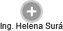  Helena S. - Vizualizace  propojení osoby a firem v obchodním rejstříku