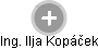  Ilja K. - Vizualizace  propojení osoby a firem v obchodním rejstříku