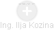  Ilja K. - Vizualizace  propojení osoby a firem v obchodním rejstříku