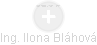  Ilona B. - Vizualizace  propojení osoby a firem v obchodním rejstříku