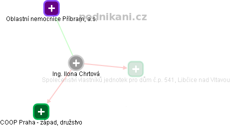  Ilona Ch. - Vizualizace  propojení osoby a firem v obchodním rejstříku