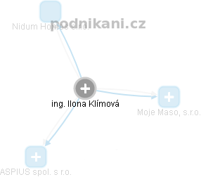 Ilona Klímová - Vizualizace  propojení osoby a firem v obchodním rejstříku