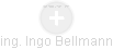 Ingo Bellmann - Vizualizace  propojení osoby a firem v obchodním rejstříku