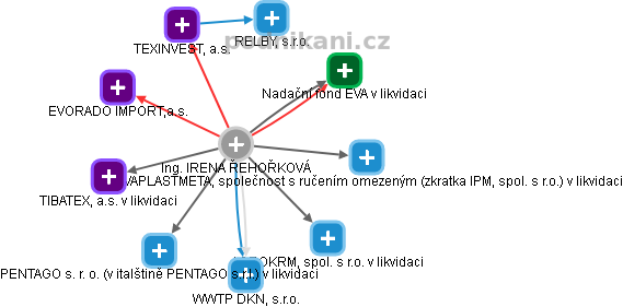  Irena P. - Vizualizace  propojení osoby a firem v obchodním rejstříku