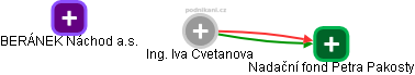 Iva Cvetanova - Vizualizace  propojení osoby a firem v obchodním rejstříku