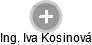 Iva Kosinová - Vizualizace  propojení osoby a firem v obchodním rejstříku