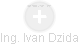 Ivan Dzida - Vizualizace  propojení osoby a firem v obchodním rejstříku