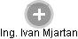 Ivan Mjartan - Vizualizace  propojení osoby a firem v obchodním rejstříku