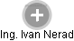  Ivan N. - Vizualizace  propojení osoby a firem v obchodním rejstříku