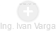 Ivan Varga - Vizualizace  propojení osoby a firem v obchodním rejstříku