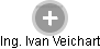 Ivan Veichart - Vizualizace  propojení osoby a firem v obchodním rejstříku