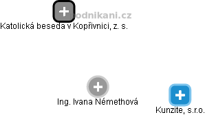 Ivana Némethová - Vizualizace  propojení osoby a firem v obchodním rejstříku
