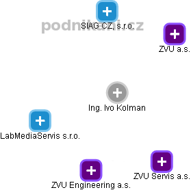 Ivo Kolman - Vizualizace  propojení osoby a firem v obchodním rejstříku