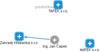 Jan Čapek - Vizualizace  propojení osoby a firem v obchodním rejstříku