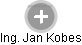 Jan Kobes - Vizualizace  propojení osoby a firem v obchodním rejstříku