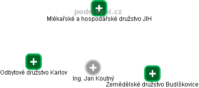 Jan Koutný - Vizualizace  propojení osoby a firem v obchodním rejstříku