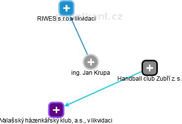 Jan Krupa - Vizualizace  propojení osoby a firem v obchodním rejstříku
