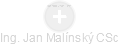  Malínský J. - Vizualizace  propojení osoby a firem v obchodním rejstříku