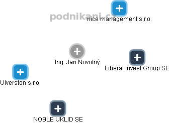 Jan Novotný - Vizualizace  propojení osoby a firem v obchodním rejstříku