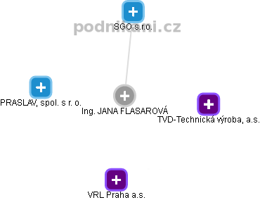JANA FLASAROVÁ - Vizualizace  propojení osoby a firem v obchodním rejstříku