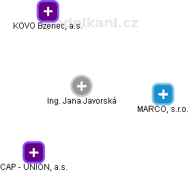  Jana J. - Vizualizace  propojení osoby a firem v obchodním rejstříku