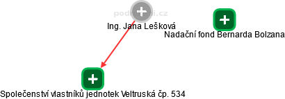 Jana Lešková - Vizualizace  propojení osoby a firem v obchodním rejstříku