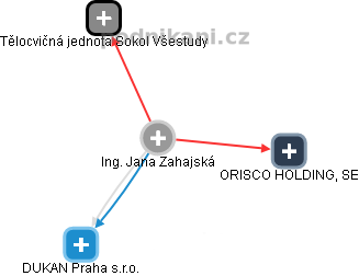  Jana Z. - Vizualizace  propojení osoby a firem v obchodním rejstříku