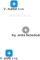 Jindra Bezvodová - Vizualizace  propojení osoby a firem v obchodním rejstříku