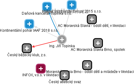 Jiří Topinka - Vizualizace  propojení osoby a firem v obchodním rejstříku