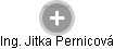 Jitka Pernicová - Vizualizace  propojení osoby a firem v obchodním rejstříku