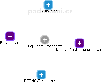 Josef Brzobohatý - Vizualizace  propojení osoby a firem v obchodním rejstříku