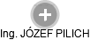 JÓZEF PILICH - Vizualizace  propojení osoby a firem v obchodním rejstříku