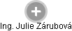 Julie Zárubová - Vizualizace  propojení osoby a firem v obchodním rejstříku