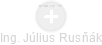 Julius Rusňák - Vizualizace  propojení osoby a firem v obchodním rejstříku
