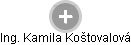 Kamila Koštovalová - Vizualizace  propojení osoby a firem v obchodním rejstříku