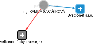 KAMILA ŠAFAŘÍKOVÁ - Vizualizace  propojení osoby a firem v obchodním rejstříku