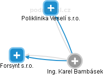  Karel B. - Vizualizace  propojení osoby a firem v obchodním rejstříku