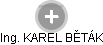 KAREL BĚTÁK - Vizualizace  propojení osoby a firem v obchodním rejstříku